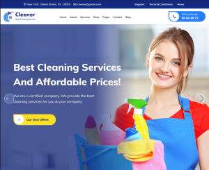 Cleaning Services Design 06