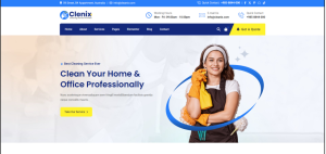 Cleaning Services Design 11