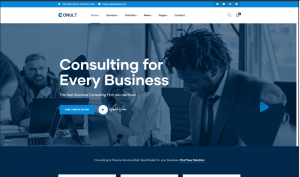 Finance Consulting Design 03