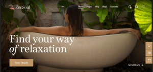 Salon & Spa Design 08