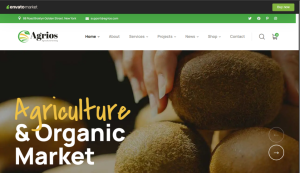 Dairy And Organic Food Design 01