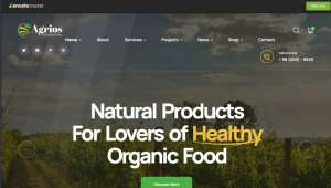 Dairy And Organic Food Design 03