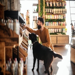 Pet Shop Design