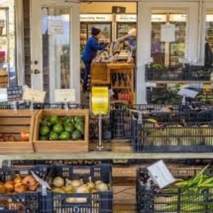 Farm Product Seller Design