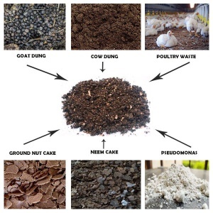 Organic Fertilizer / Manure Seller Design