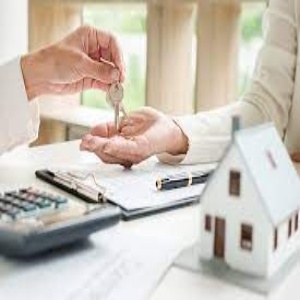 Property Dealer Design