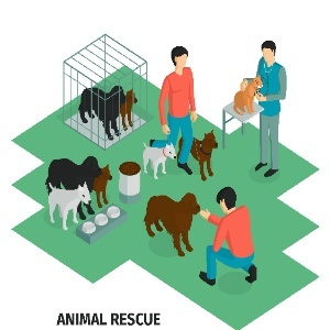 Animal Rescue Groups Design