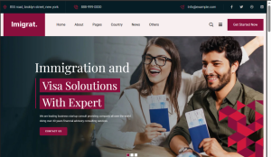 Visa And Immigration Design 04