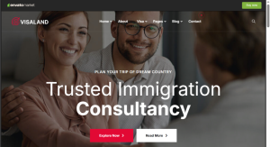 Visa And Immigration Design 11