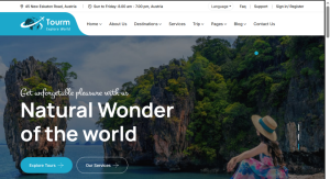 Travel Agent Design 06