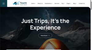 Travel Agent Design 10