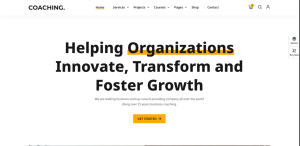 Business Coaching Design 01