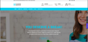 Cleaning Services Design 13