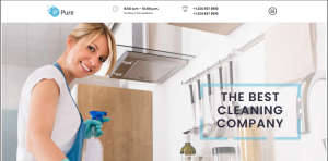 Cleaning Services Design 12