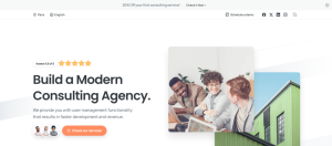 Consulting Buisness Design 15