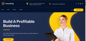 Consulting Business Design 11
