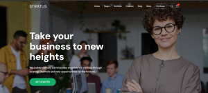Consulting Business Design 17