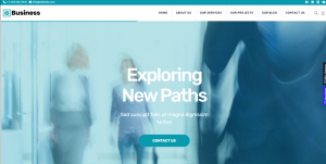 Consulting Business Design 20
