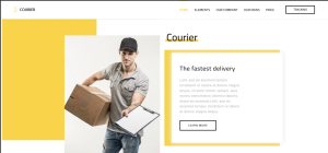 Courier Delivery Design 01