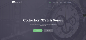 Ecommerce Design 32