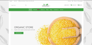Estore Design 13