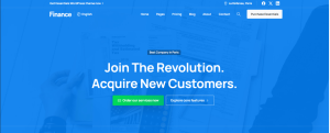 Finance Consulting Design 08