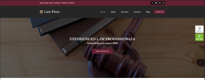 Legal consultants Design 13