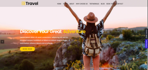 Travel Agent Design 20