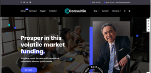 CA taxation consultant Design 11