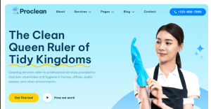 Cleaning Services Design 14