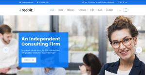 Consulting Business Design 33