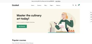 Education & Online Course Design 23