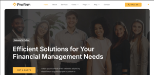 Finance Consulting Design 11