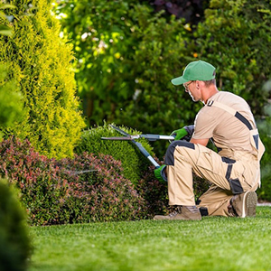 Landscape Design