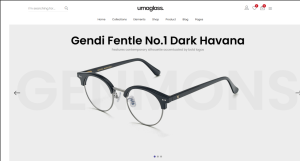 Optical Store Design 07