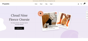 Pets shop design 11
