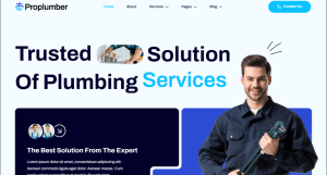 Plumber Design 02