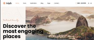 Travel Agent Design 23
