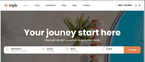 Travel Agent Design 24