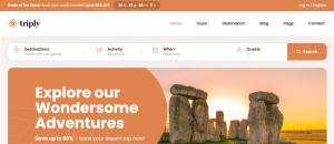 Travel Agent Design 25