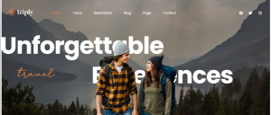 Travel Agent Design 26