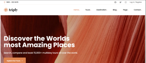 Travel Agent Design 27