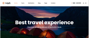 Travel Agent Design 29