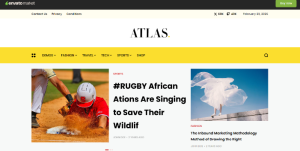 Blog And Magazine’s Design 35