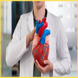 Cardiologist Design