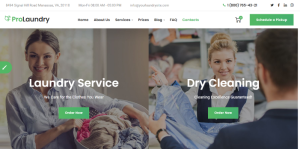 Dry Cleaning Services Design 01