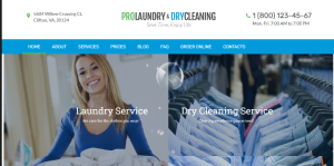 Dry Cleaning Services Design 02