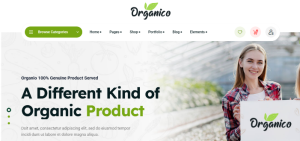 Estore Design 41