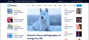 Blog And Magazine’s Design 42