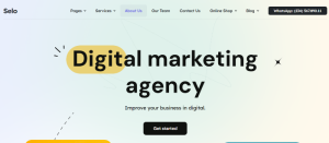 Digital Marketing Agency Design 19